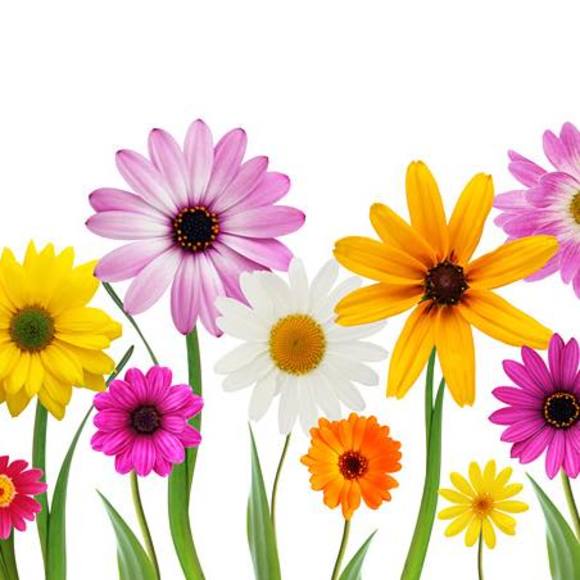 Meet your Posher, Jacqueline - Picture 1 of 1